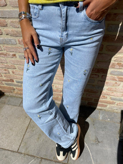 Jean Daisy pâquerettes